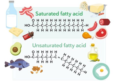 fat wikipedia|fat vs fatty acid.